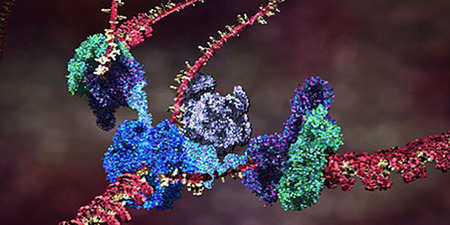Visualisation of molecular machines working with DNA